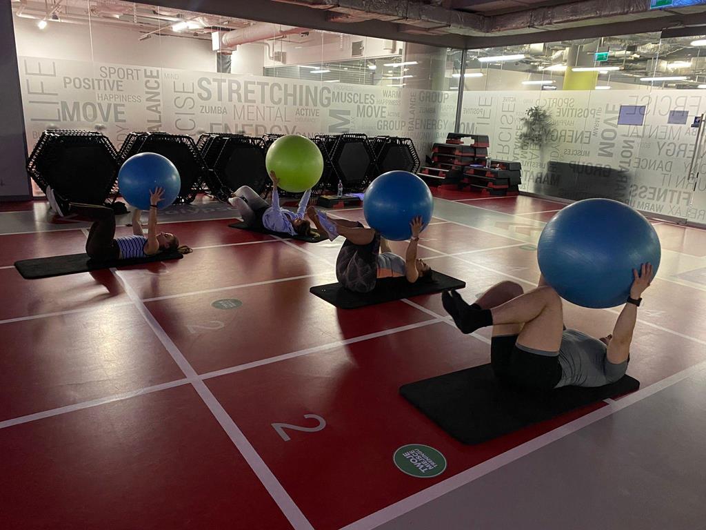 PFS FIT BALL
