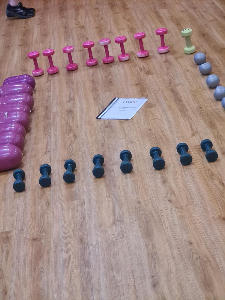 PFS INSTRUKTOR FITNESS