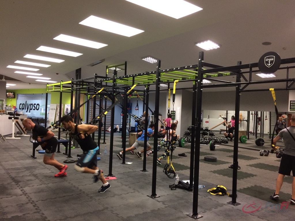 PFS SUSPENSION TRAINING